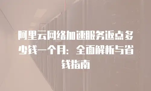 阿里云网络加速服务返点多少钱一个月：全面解析与省钱指南