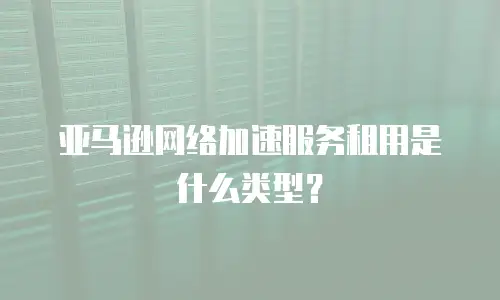 亚马逊网络加速服务租用是什么类型？