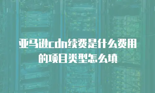 亚马逊cdn续费是什么费用的项目类型怎么填