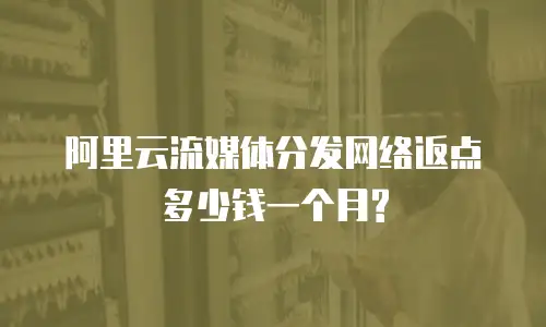 阿里云流媒体分发网络返点多少钱一个月?