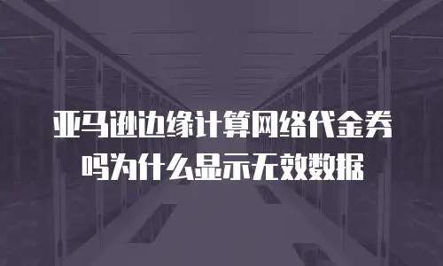 亚马逊边缘计算网络代金券吗为什么显示无效数据