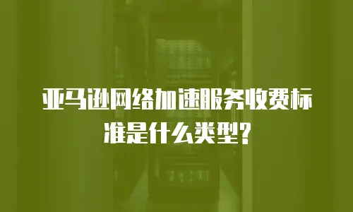 亚马逊网络加速服务收费标准是什么类型?