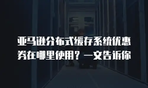 亚马逊分布式缓存系统优惠券在哪里使用？一文告诉你