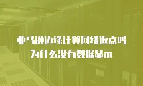 亚马逊边缘计算网络返点吗为什么没有数据显示
