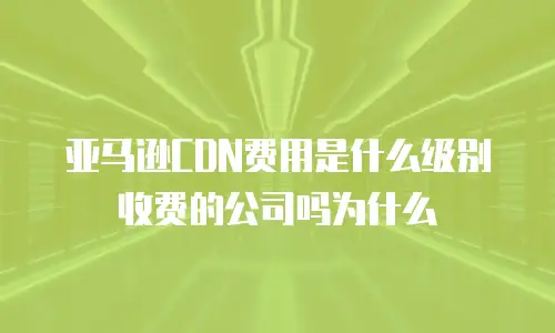 亚马逊CDN费用是什么级别收费的公司吗为什么