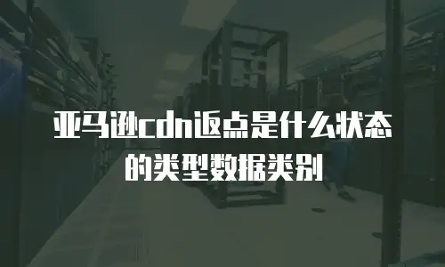 亚马逊cdn返点是什么状态的类型数据类别