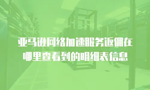 亚马逊网络加速服务返佣在哪里查看到的明细表信息
