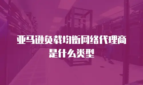 亚马逊负载均衡网络代理商是什么类型