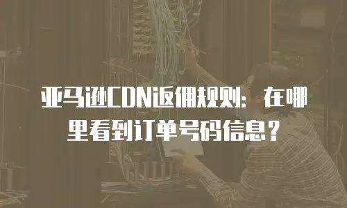 亚马逊CDN返佣规则：在哪里看到订单号码信息？