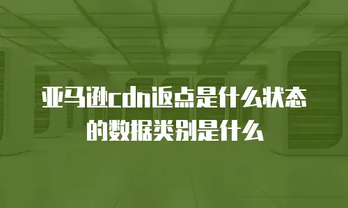 亚马逊cdn返点是什么状态的数据类别是什么