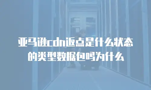 亚马逊cdn返点是什么状态的类型数据包吗为什么