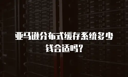 亚马逊分布式缓存系统多少钱合适吗？
