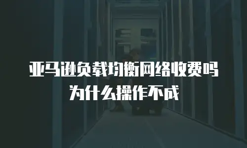 亚马逊负载均衡网络收费吗为什么操作不成
