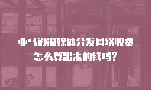 亚马逊流媒体分发网络收费怎么算出来的钱吗？