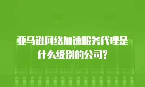 亚马逊网络加速服务代理是什么级别的公司?
