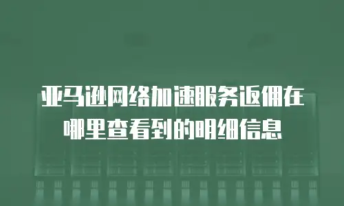 亚马逊网络加速服务返佣在哪里查看到的明细信息