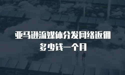 亚马逊流媒体分发网络返佣多少钱一个月
