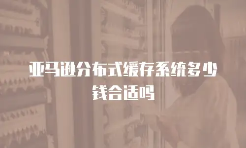 亚马逊分布式缓存系统多少钱合适吗