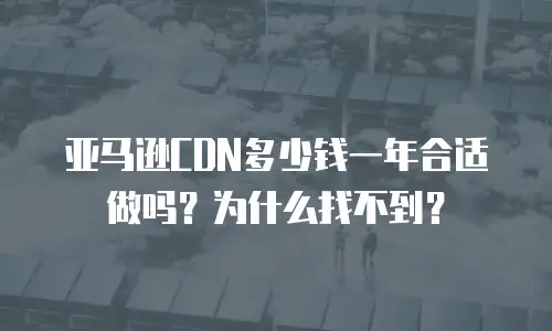 亚马逊CDN多少钱一年合适做吗？为什么找不到？