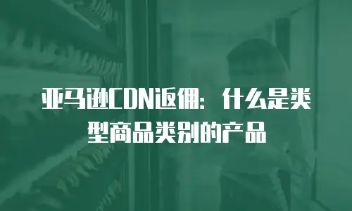 亚马逊CDN返佣：什么是类型商品类别的产品