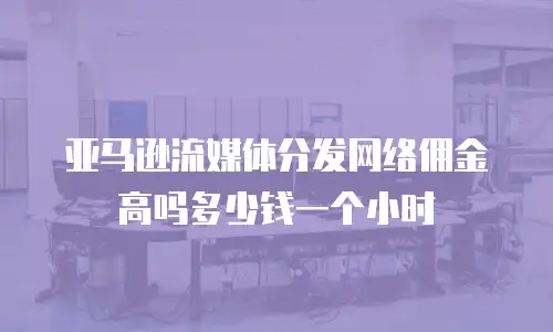 亚马逊流媒体分发网络佣金高吗多少钱一个小时