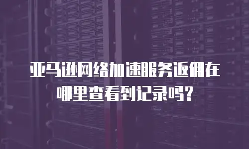 亚马逊网络加速服务返佣在哪里查看到记录吗？