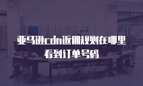 亚马逊cdn返佣规则在哪里看到订单号码