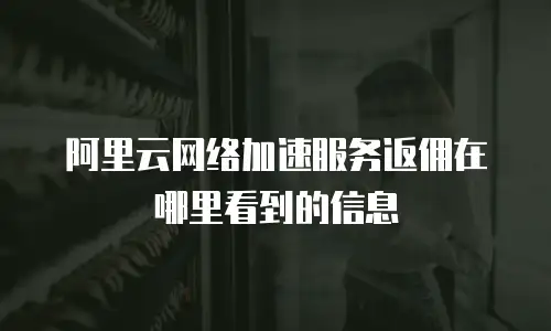 阿里云网络加速服务返佣在哪里看到的信息