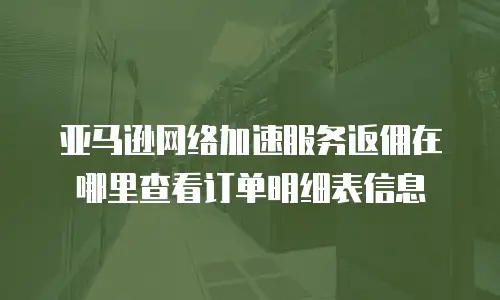 亚马逊网络加速服务返佣在哪里查看订单明细表信息