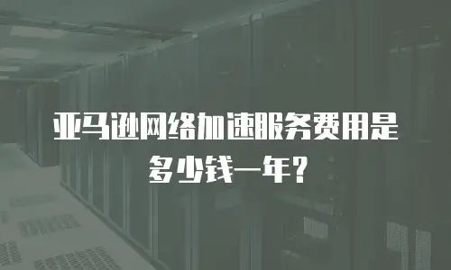 亚马逊网络加速服务费用是多少钱一年？