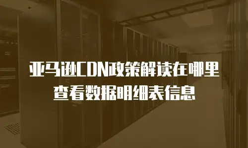 亚马逊CDN政策解读在哪里查看数据明细表信息