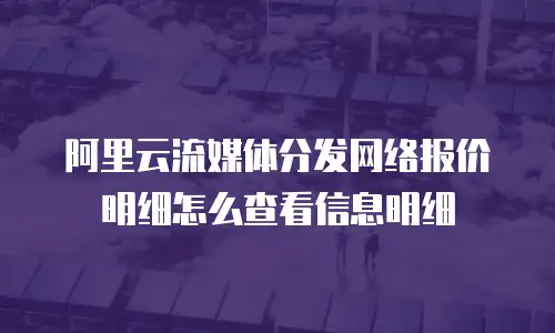 阿里云流媒体分发网络报价明细怎么查看信息明细