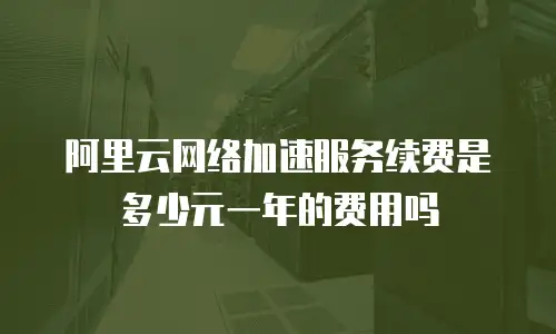 阿里云网络加速服务续费是多少元一年的费用吗