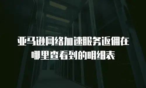 亚马逊网络加速服务返佣在哪里查看到的明细表