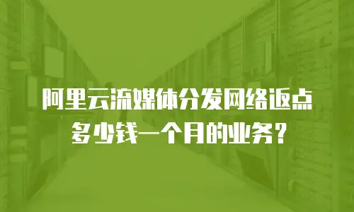 阿里云流媒体分发网络返点多少钱一个月的业务？