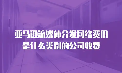 亚马逊流媒体分发网络费用是什么类别的公司收费