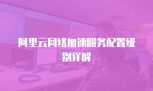 阿里云网络加速服务配置级别详解