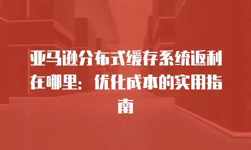 亚马逊分布式缓存系统返利在哪里：优化成本的实用指南