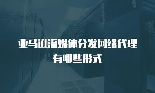 亚马逊流媒体分发网络代理有哪些形式