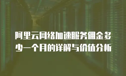 阿里云网络加速服务佣金多少一个月的详解与价值分析