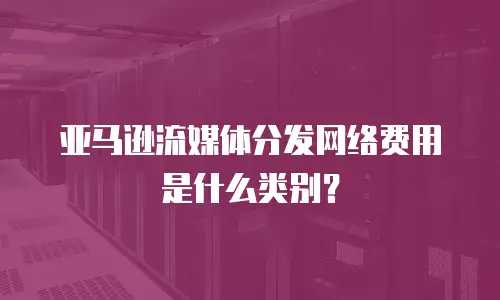 亚马逊流媒体分发网络费用是什么类别？
