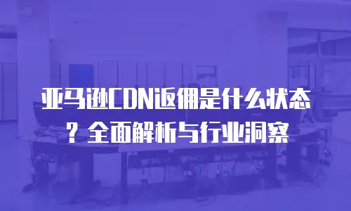 亚马逊CDN返佣是什么状态？全面解析与行业洞察