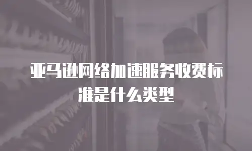 亚马逊网络加速服务收费标准是什么类型
