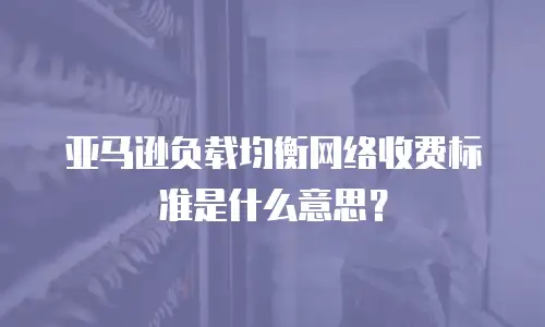 亚马逊负载均衡网络收费标准是什么意思？