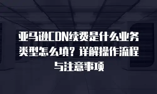 亚马逊CDN续费是什么业务类型怎么填？详解操作流程与注意事项