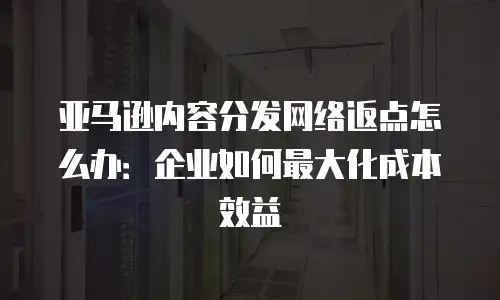 亚马逊内容分发网络返点怎么办：企业如何最大化成本效益