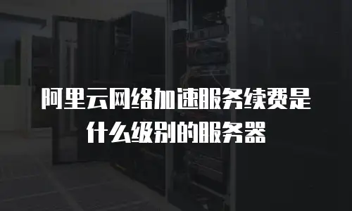 阿里云网络加速服务续费是什么级别的服务器
