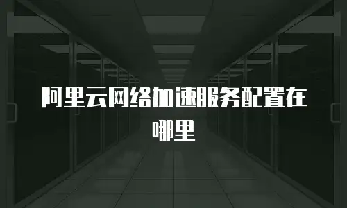 阿里云网络加速服务配置在哪里