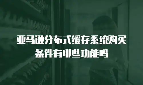 亚马逊分布式缓存系统购买条件有哪些功能吗