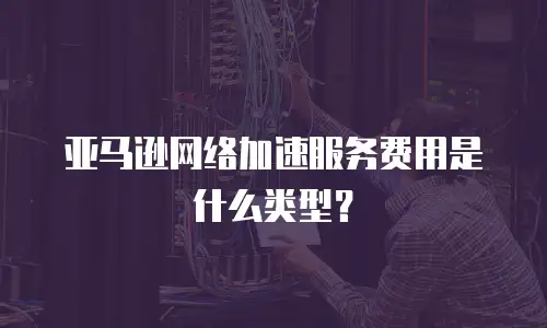 亚马逊网络加速服务费用是什么类型？